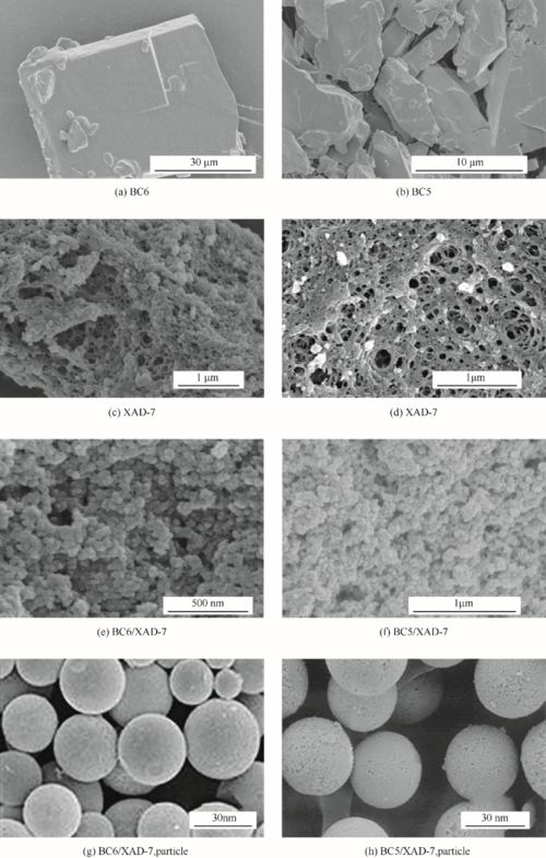 新型Calix-Biscrown超分子识别材料的制备及其对铷和铯的选择性吸附性能研究——兼论针纺织品及原料销售行业展望